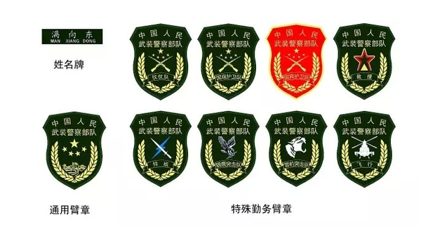 武警部队新式标志图片