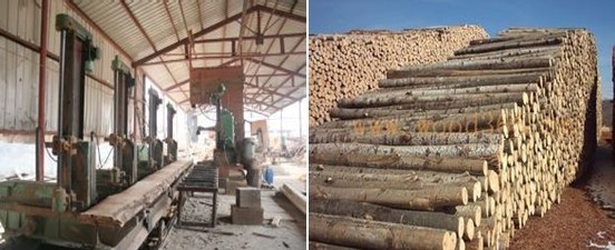 木材加工厂场景 木材加工厂场景