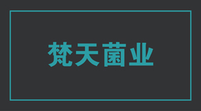 食品行业工作装设计款式